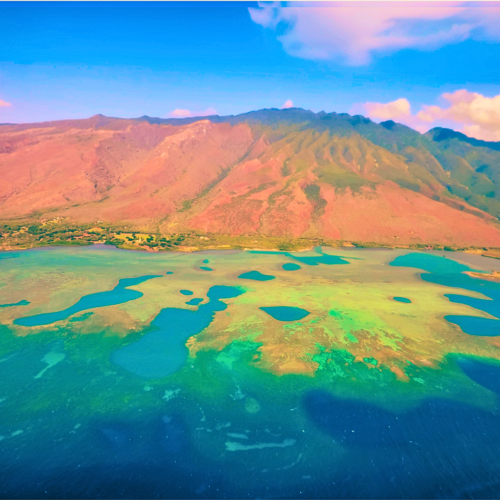 Mystery Series: Beyond the Reef